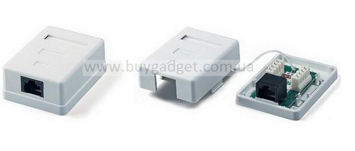 Розетка UTP 8P8C RJ45, внешняя на 1-порт cat5e